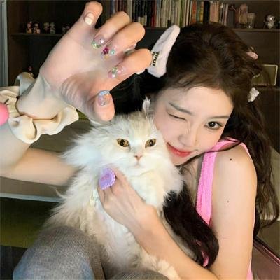 警视厅零系生活安全科万能咨询室爱与泪的告别